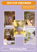 PREORDER: ZESTAW CAŁY KOLOR Kwitnący Bez